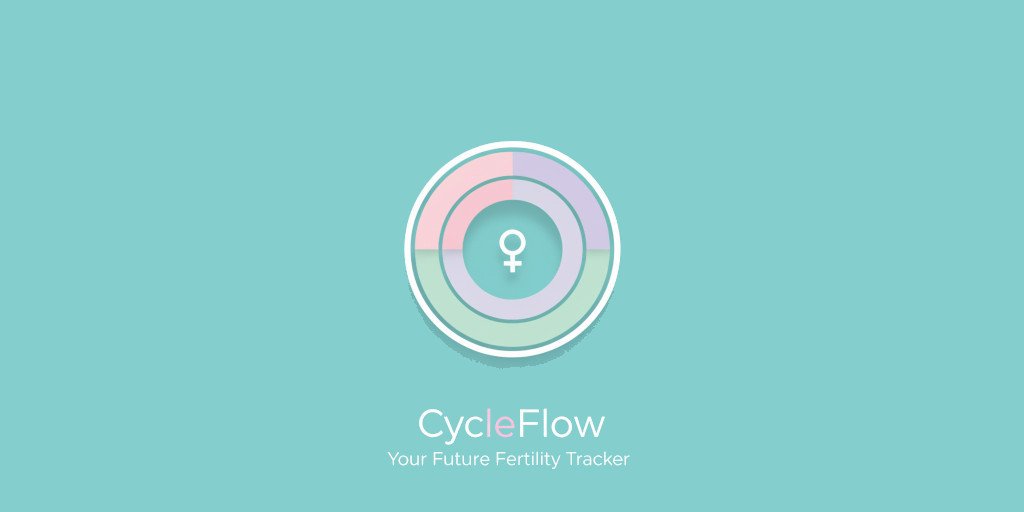 CycleFlow